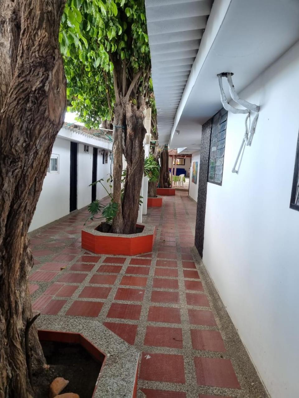 Hotel Mayte Fonseca Buitenkant foto